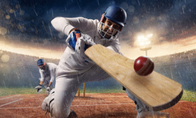 Wheon Cricket 07: Reviving a Classic Cricket Gaming Experience