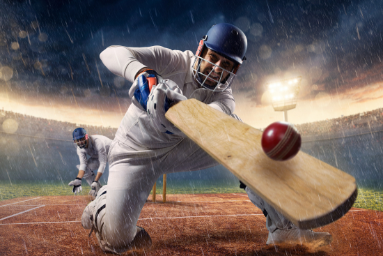 Wheon Cricket 07: Reviving a Classic Cricket Gaming Experience