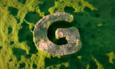 Understanding Giniä: A Deep Dive into Its Origins and Significance