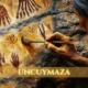 Uncuymaza: Exploring Education and Innovation at the Heart of Mendoza