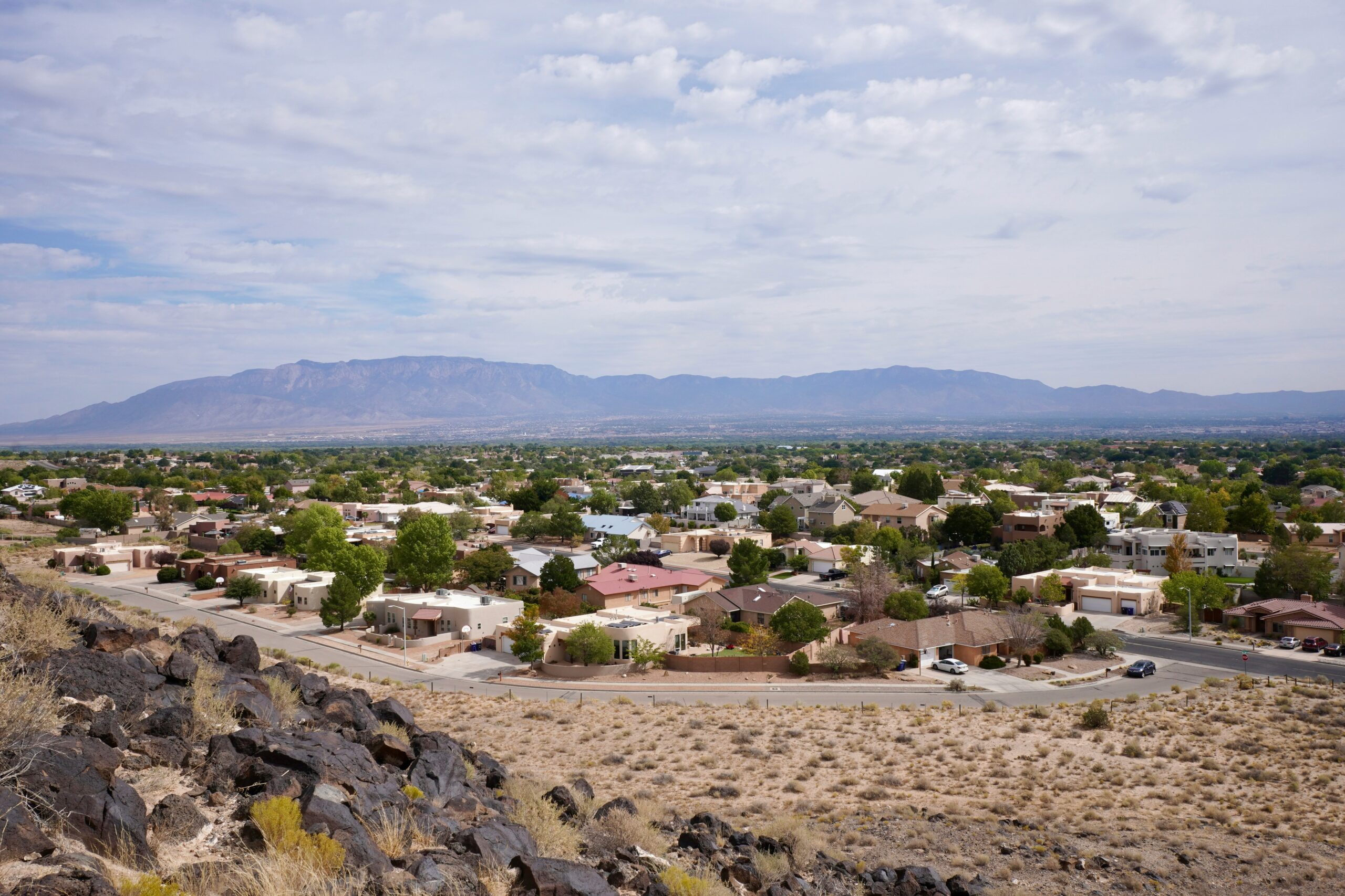 Exploring Tarnplanen: The Ultimate Guide to Sustainable Urban Planning