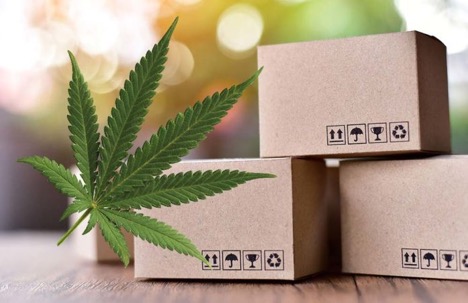 How Hemp Is Driving Innovation in Sustainable Packaging