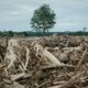Deadly Indonesia floods force a deforestation reckoning