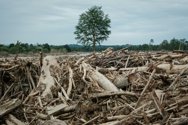 Deadly Indonesia floods force a deforestation reckoning